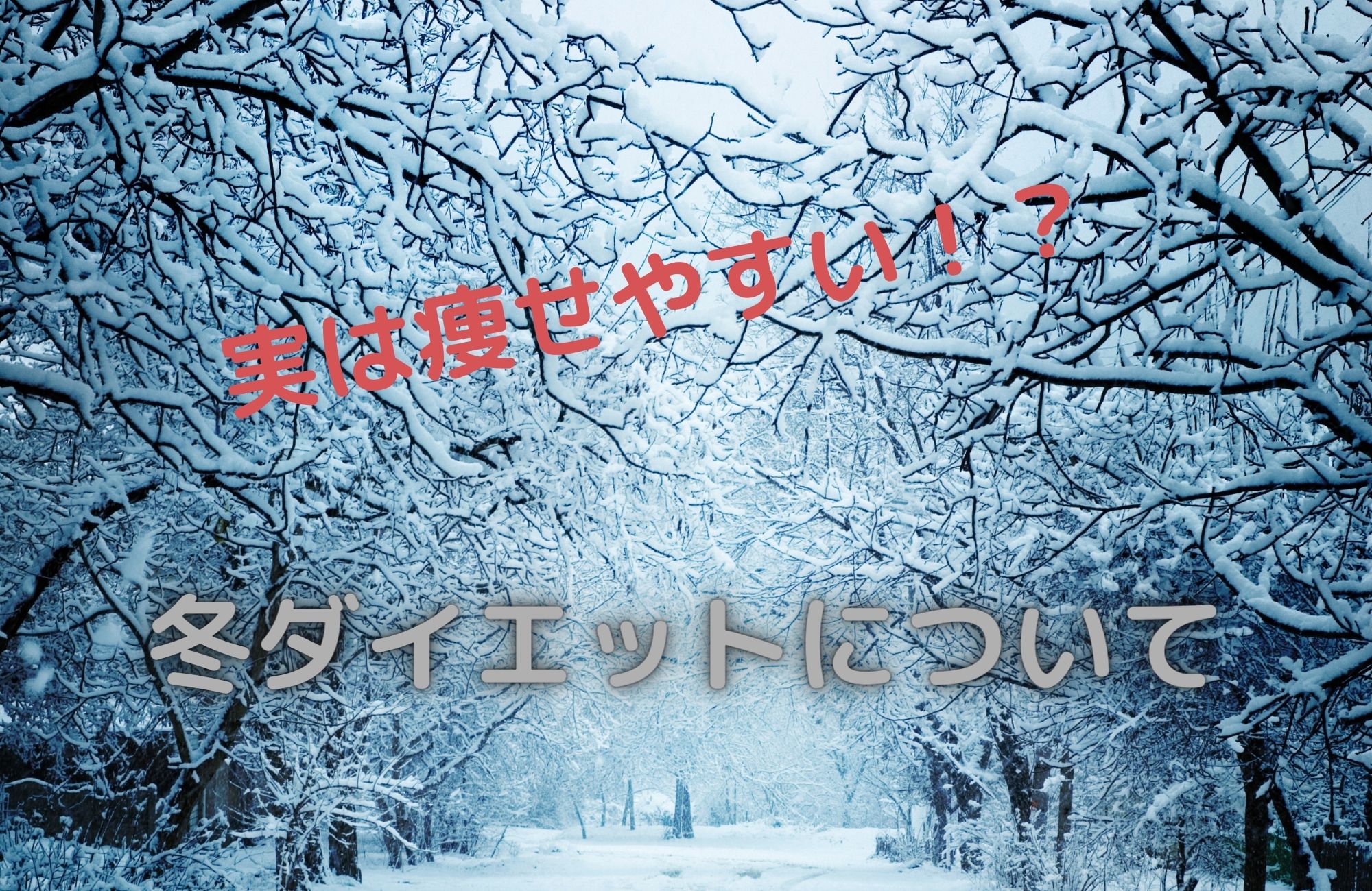 実は痩せやすい!?冬ダイエットについて